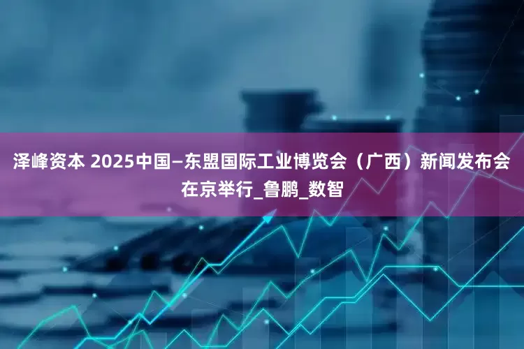 泽峰资本 2025中国—东盟国际工业博览会（广西）新闻发布会在京举行_鲁鹏_数智